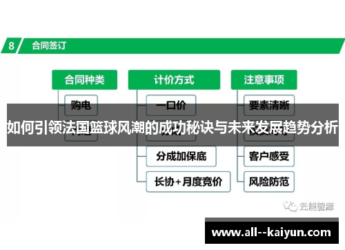 如何引领法国篮球风潮的成功秘诀与未来发展趋势分析