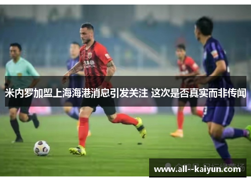 米内罗加盟上海海港消息引发关注 这次是否真实而非传闻