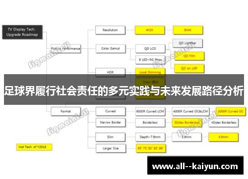 足球界履行社会责任的多元实践与未来发展路径分析