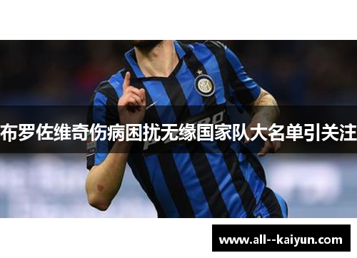 布罗佐维奇伤病困扰无缘国家队大名单引关注 布罗佐维奇伤病困扰无缘国家队大名单引关注