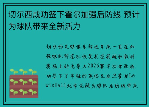 切尔西成功签下霍尔加强后防线 预计为球队带来全新活力